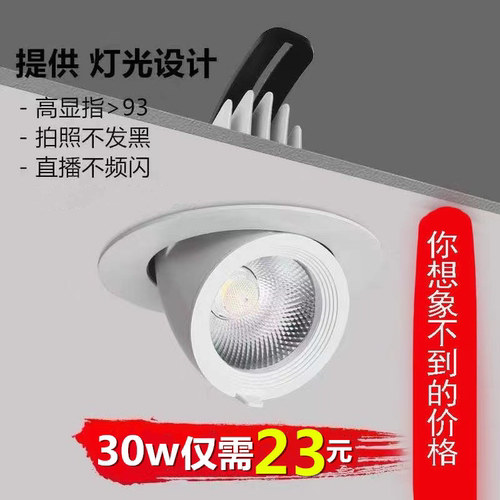 聚光射灯可调角度雷哲cob象鼻灯