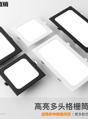 led格栅灯15x15铝网格吊顶双头10*20黑色葡萄架专用长方形筒灯