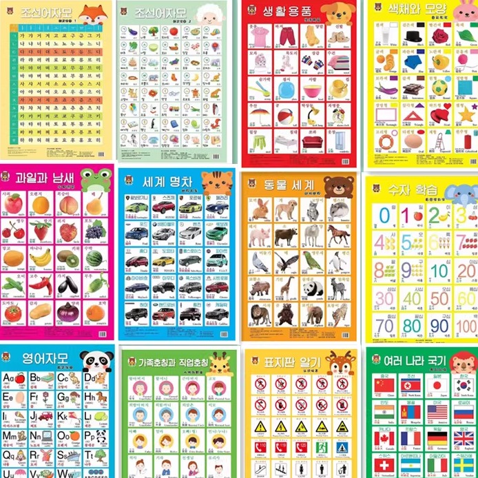 韩语朝语幼儿识字挂图 字母挂图 动物水果 人物国旗标识数字拼音