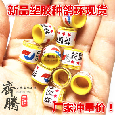 信鸽私环鸽子用品比赛特比