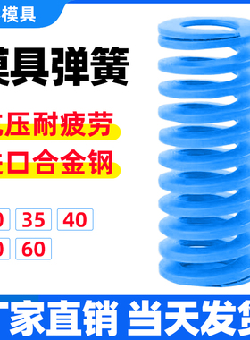 G10模具TL蓝色弹簧 65MN矩形扁线弹簧压力弹簧弹弓30/35/40/50/60