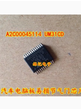 A2C00045114 UM31CD 汽车电脑板易损节气门芯片 现货 质量保证