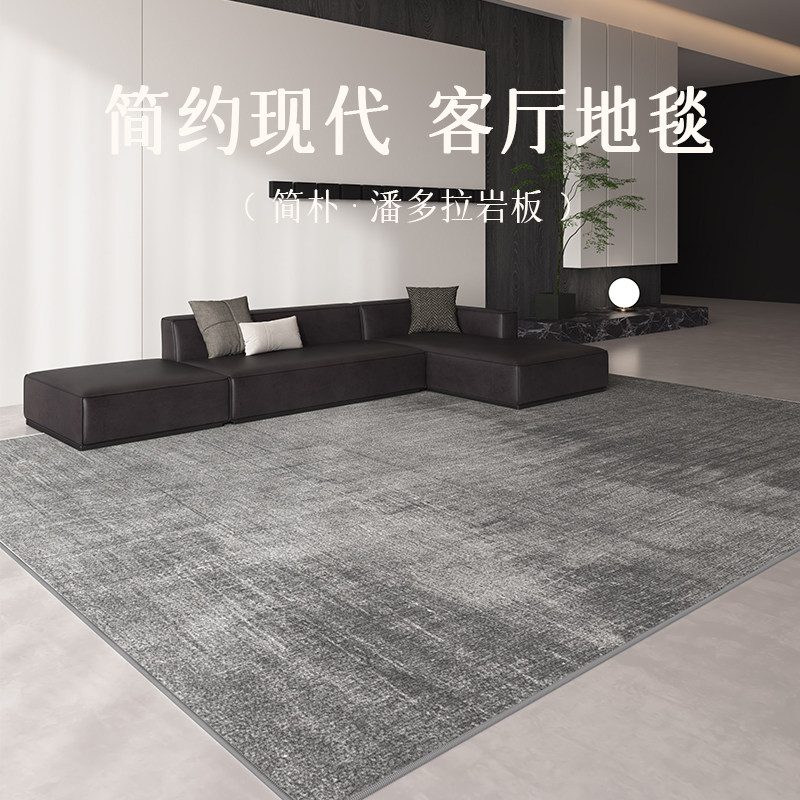 恒亚斯现代简约地毯灰色防水客厅地毯2025新款免打理水晶绒大面积
