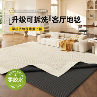 可机洗双层地毯客厅轻奢高级感防水防污可拆洗室内房间卧室床边毯