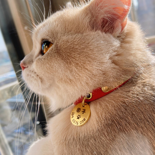 猫咪项圈定制轻盈柔软刻字防丢