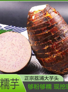 广西荔浦芋头新鲜香芋人头芋槟榔芋紫藤毛芋粉糯香甜高原种植蔬菜