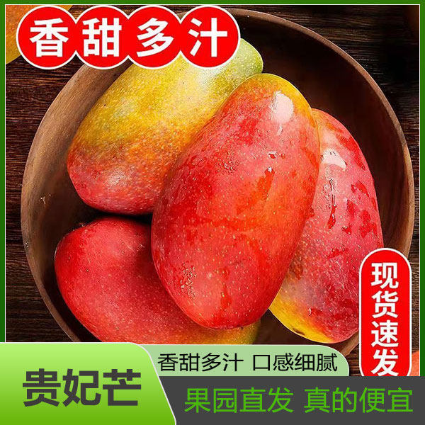广西贵妃芒芒果新鲜香甜水果当季水果整箱包邮树上熟南宁特产当季
