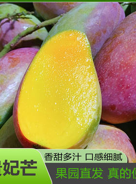 树上熟贵妃芒果广西南宁新鲜水果香甜应当季红金龙自然熟忙果包邮