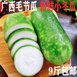 广西新鲜现摘小冬瓜水果冬瓜应季时令蔬菜现发毛节瓜青皮挂霜冬瓜