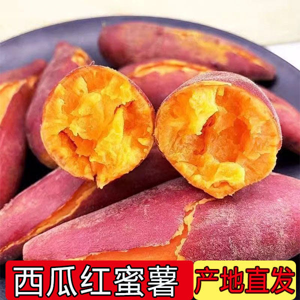 烟薯西瓜蜜薯糖心流油红薯板栗薯济薯26西瓜红地瓜辽宁自家种植