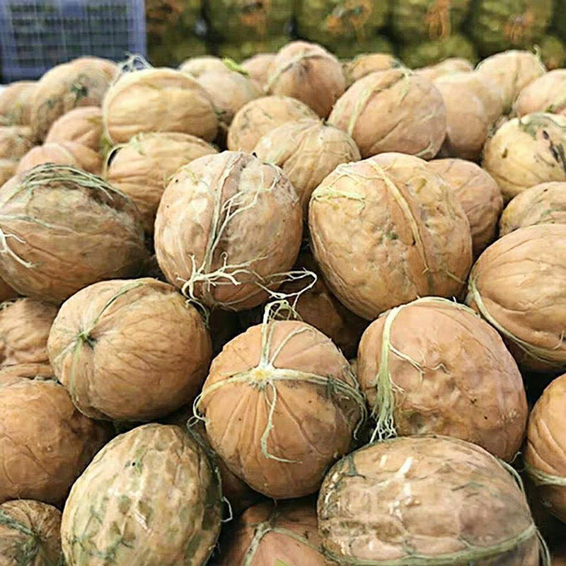 核桃2025新货湿核桃带青皮嫩核桃薄皮专用生核桃仁陕西非纸皮黑桃
