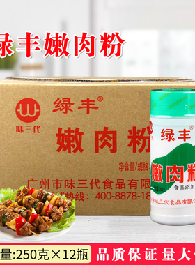 绿丰嫩肉粉250g*12瓶 家用商用烧烤腌制复酸酶制剂食品添加剂