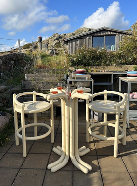 北欧ins网红椅子个性创意设计师异形高级餐桌餐椅户外网红休闲椅