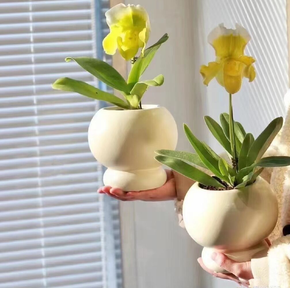 容器北欧陶瓷蝴蝶兰陶瓷花盆盆栽