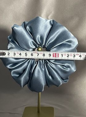 Alvin silk的店真丝中号枕头发圈超饱满