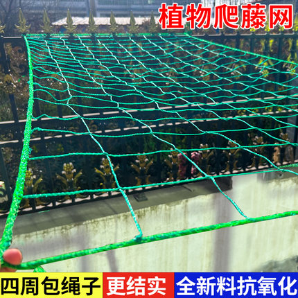植物爬藤网攀援网园艺搭架网瓜果丝瓜苦瓜月季藤蔓花卉攀爬种植网