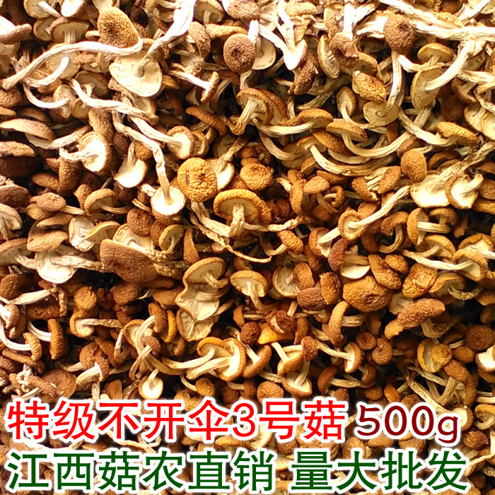 江西广昌精选茶树菇500g嫩3号