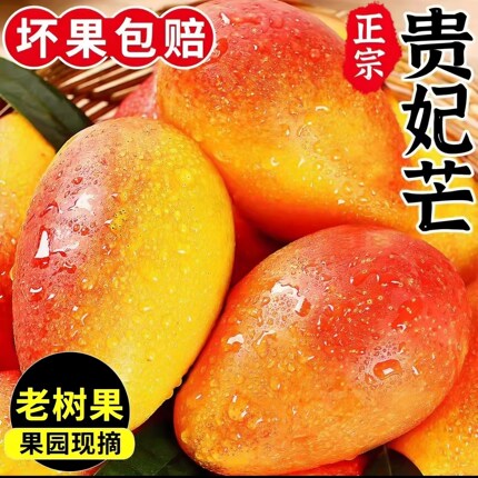 高原贵妃芒大芒果新鲜现采芒果热带水果皮薄肉厚香甜多汁产地直发