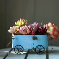 Baozakka Retro Grocery Железный кожа инородная цветочная машина для хранения садовник цветочный горшок декоративный орнамент