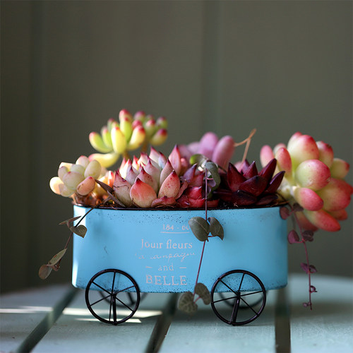 BAOZAKKA复古小花车桌装饰摆件