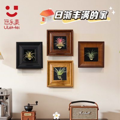 diy相框空气凤梨磁吸版！