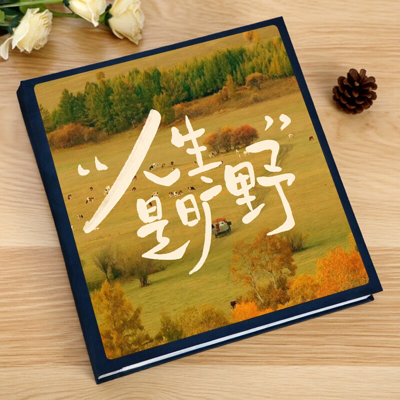 插页式横竖过塑相片收藏