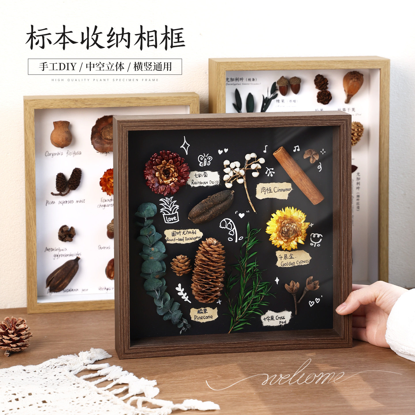 diy手工相框中空立体标本蝴蝶贝壳石头植物干花收藏昆虫展示画框