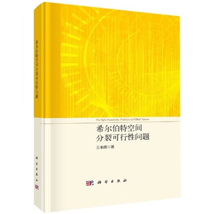 正版现货 希尔伯特空间分裂可行性问题 王丰辉 科学出版社 9787030732569平装胶订