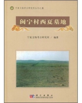 正版现货 闽宁村西夏墓地发掘报告 宁夏文物考古研究所 科学出版社