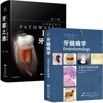 共2本牙髓之路第十一版第