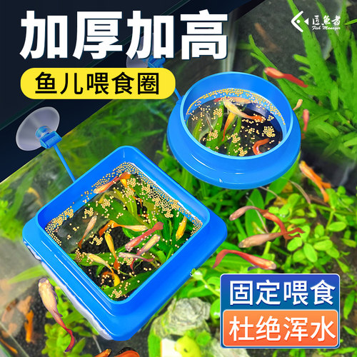 鱼缸喂食器漂浮喂食圈孔雀鱼