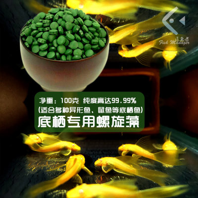 匠鱼者异形鱼大帆熊猫100g天然