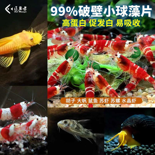 观赏虾专用粮小球藻胡子大帆鱼食