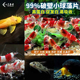 观赏虾专用粮小球藻鱼食鼠鱼胡子大帆异型底栖鱼饲料水晶虾苏虾粮