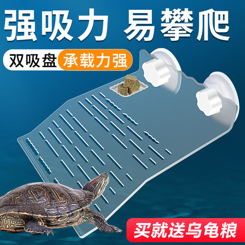 匠鱼者乌龟晒台透明亚克力吸盘