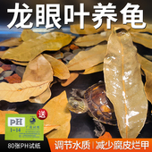 乌龟龙眼叶免煮腐皮烂甲躲避屋龟用养龟懒人叶鱼缸榄仁叶龟缸造景