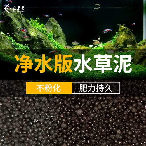 水草泥底砂不混水水藻净化养鱼
