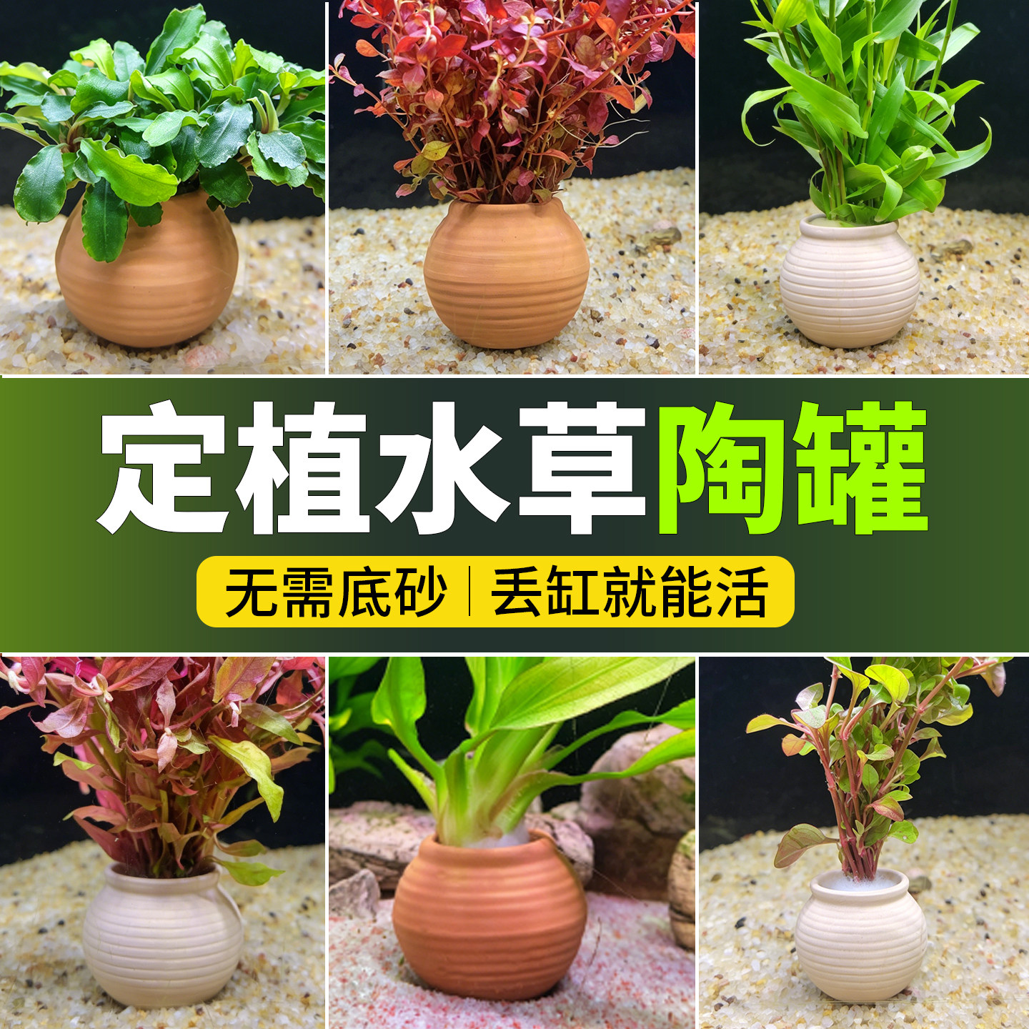 陶罐固定水草用鱼缸造景装饰摆件水草定植陶罐水草沉底环陶罐草杯