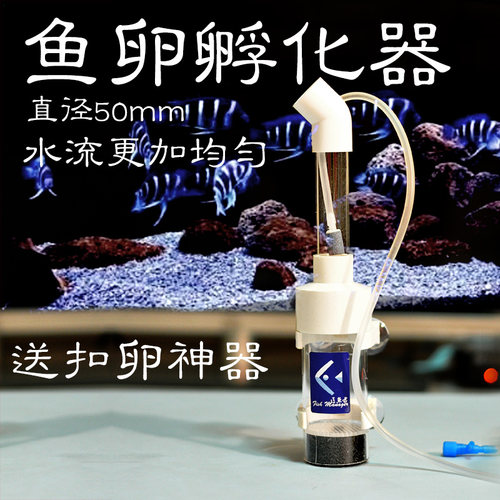 鱼卵孵化器价格 鱼卵孵化器图片 星期三