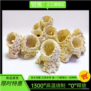 奶嘴山造景窝珊瑚防跑躲避罐小缸微缸造景爪哇基拉戈干岩石锐焦造