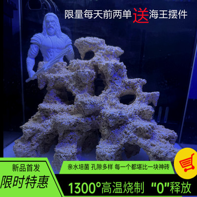 海缸造景珊瑚小缸30540微缸培菌石人造死石爪哇藻海王水小丑方缸