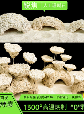 锐焦虾虎窝鱼躲避巢穴海缸培菌鱼吊类爪哇基拉戈干岩石免爆藻珊瑚