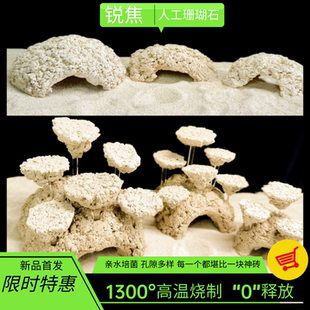 锐焦虾虎窝鱼躲避巢穴海缸培菌鱼吊类爪哇基拉戈干岩石免爆藻珊瑚