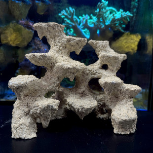 珊瑚造景非活石死石基拉戈爪哇石纯鱼小海缸FOT2030456免暴藻锐焦