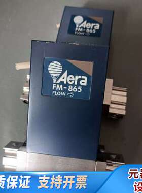 AERA流量计  FM-865Y-88，N2，4SLM，具体