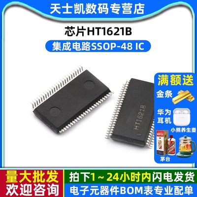 芯片HT1621B 集成电路SSOP-48 IC (2个)