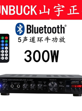 5声道功放 家用功放机 卡拉OK功放数字大功率带插卡摇控蓝牙功放