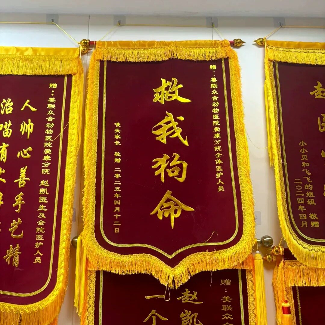 锦旗定制定做感谢医生护士图片