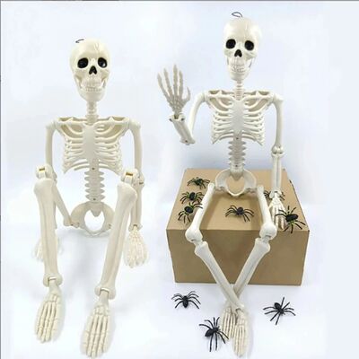 Posable Skeleton Halloween Fake Bone Human Shape Decoration