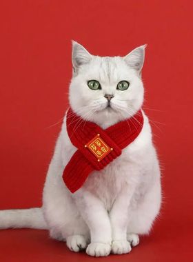 Universal Warm Pet Scarf Knitted Coldproof Neck Warmer Windp